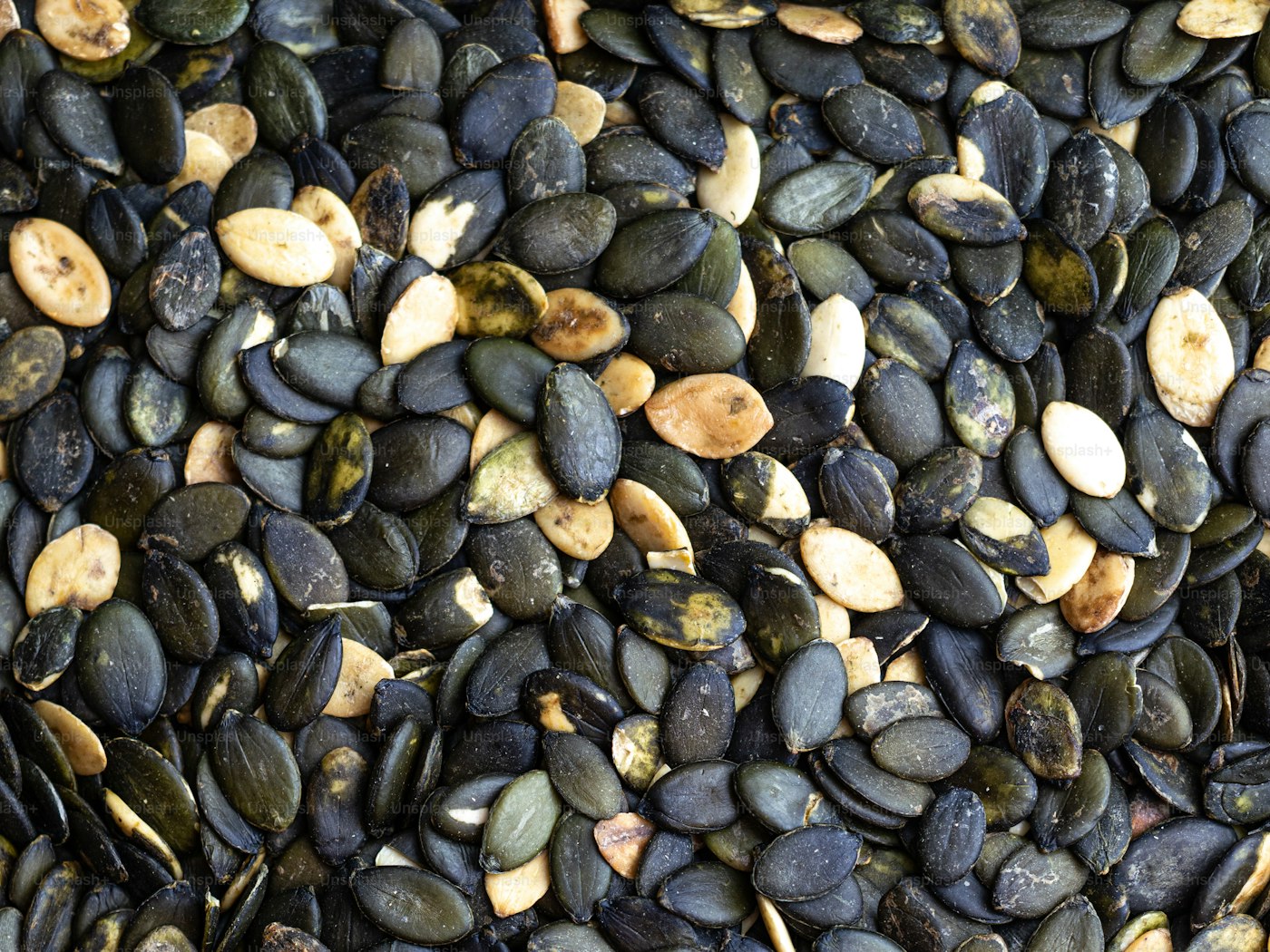 Seeds